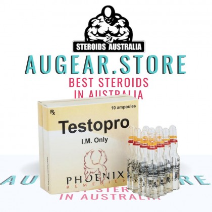 Testopro 10 Ampoules