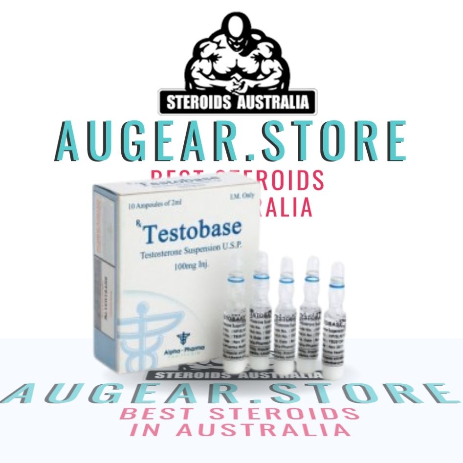 Testobase
